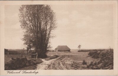 VELUWE - Veluwsch Landschap