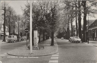 OISTERWIJK - Lind met Trouwlaantje