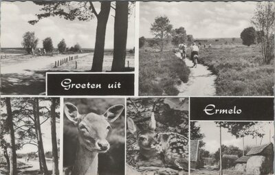 ERMELO - Meerluik Groeten uit Ermelo