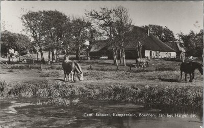 KAMPERDUIN - Boerderij aan het Harger gat