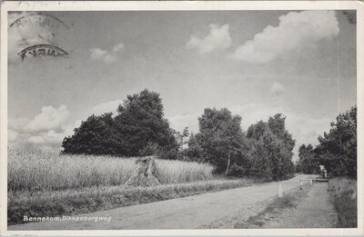 BENNEKOM - Dikkenbergweg