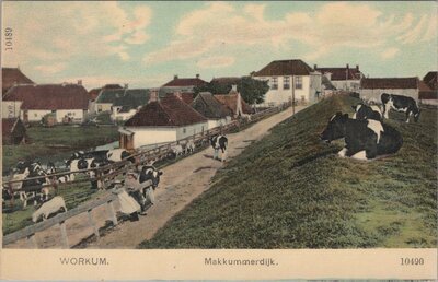 WORKUM - Makkummerdijk