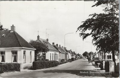 NIEKERK - Bloemersmastraat