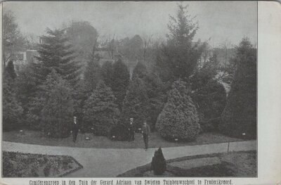 FREDERIKSOORD - Coniferengroep in den Tuin der Gerard Adriaan van Swieten Tuinbouwschool