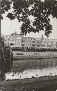 BREDA - Diaconessenhuis. Zuidkant met Wilg