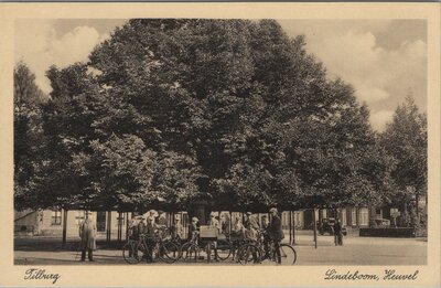 TILBURG - Lindeboom, Heuvel