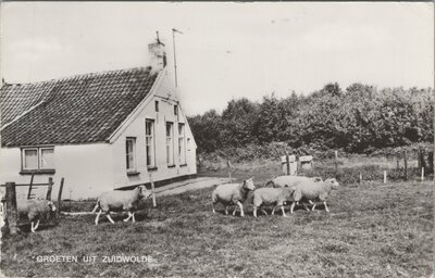 ZUIDWOLDE - Groeten uit Zuidwolde