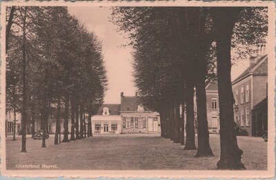 OOSTERHOUT - Heuvel