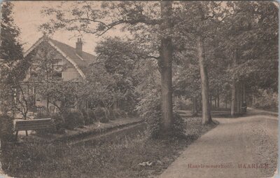 HAARLEM - Haarlemmerhout