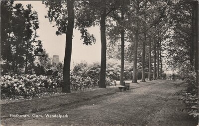 EINDHOVEN - Gem. Wandelpark