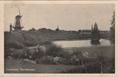 GORINCHEM - Paardenwater