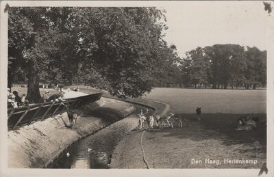 DEN HAAG - Hertenkamp