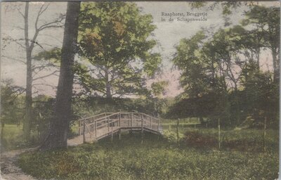 RAAPHORST - Bruggetje in de Schapenweide