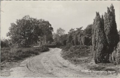 OTTERLO - Jeneverbessen Bossen