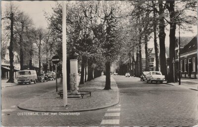 OISTERWIJK - Lind met Trouwlaantje