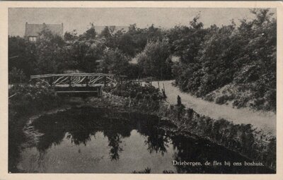 DRIEBERGEN - de fles bij ons boshuis