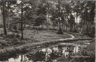 DRIEBERGEN - Heidetuin