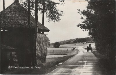 LOCHEM - Landschap bij Zwiep