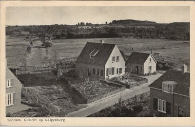 ZEDDAM - Gezicht op Galgenberg