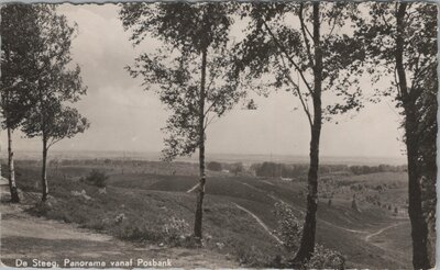 DE STEEG - Panorama vanaf Posbank