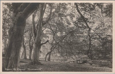 BAARN - Bij Kasteel Groeneveld