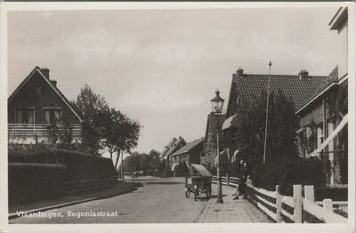 VLAARDINGEN - Begoniastraat