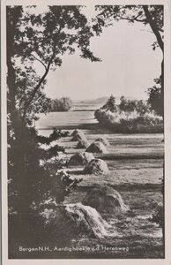 BERGEN N. H. - Aardig Hoekje a.d. Herenweg