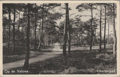 VELUWE - Op de Veluwe Eibertjespad