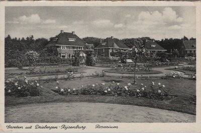 DRIEBERGEN - RIJSENBURG - Rosarium