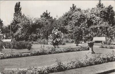 DRIEBERGEN - Rosarium