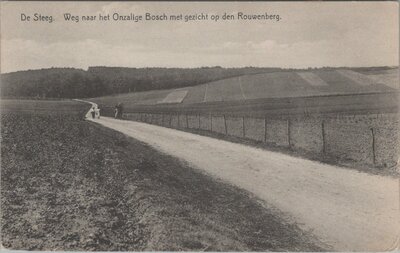 DE STEEG - Weg naar het Onzalige Bosch met gezicht op den Rouwenberg