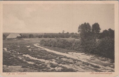 VELUWE - Op de Veluwe. Heidelandschap