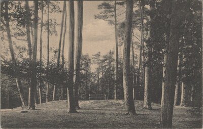 HEEZE - De Hazenberg in 't Bosch