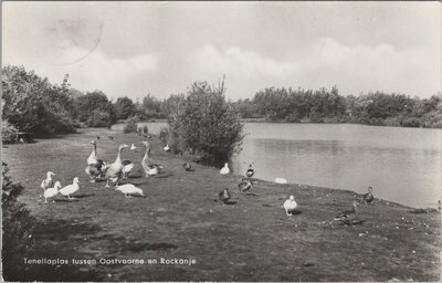 OOSTVOORNE - ROCKANJE - Tenellaplas tussen Oostvoorne en Rockanje