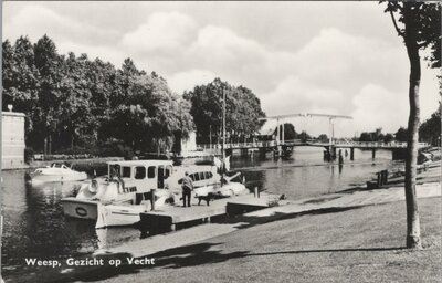 WEESP - Gezicht op Vecht