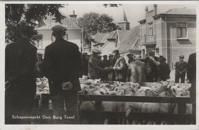 DEN BURG - Schapenmarkt