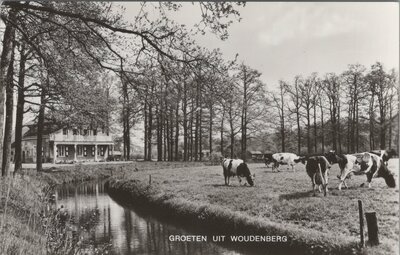 WOUDENBERG - Groeten uit Woudenberg