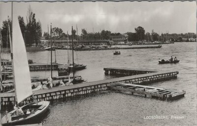 LOOSDRECHT - Plassen