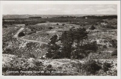 CASTRICUM - Panorama vanaf de De Kruisberg