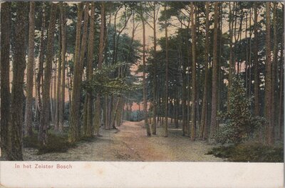 ZEIST - In het Zeister Bosch