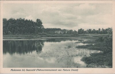 SAASVELD - Molenven bij Saasveld (Natuurmonument van Natura Docet)