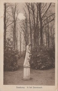 DENEKAMP - In het Sterrebosch