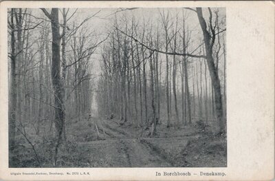 DENEKAMP - In Borchbosch