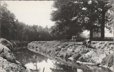 DENEKAMP - De Dinkel