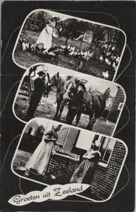 ZEELAND - Meerluik Groeten uit Zeeland