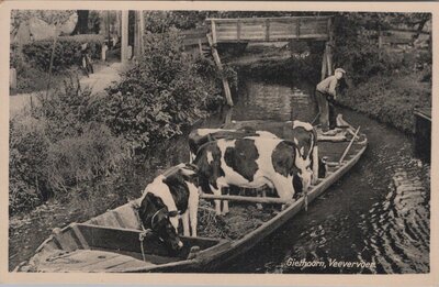 GIETHOORN - Veevervoer