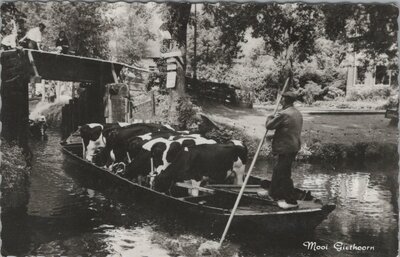 GIETHOORN - Mooi Giethoorn