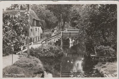 GIETHOORN - Mooi Giethoorn