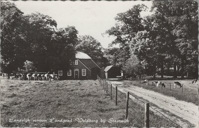 STEENWIJK - Landelijk schoon Landgoed Woldberg bij Steenwijk
