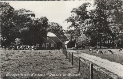 STEENWIJK - Landelijk schoon Landgoed Woldberg bij Steenwijk